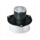 NDF-MV072