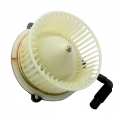 NDF-MV037