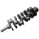 NDF-4M40-T/CS