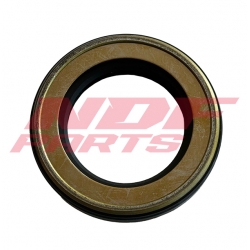 NDF-AP23900