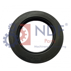 NDF-0251311