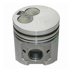 NDF03646YM/1