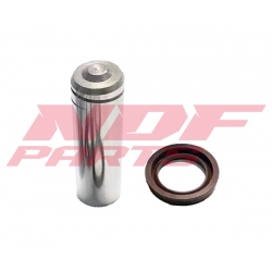 NDF-3860731