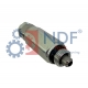 NDF-RV167