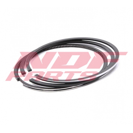 NDF-S4S-D/RP