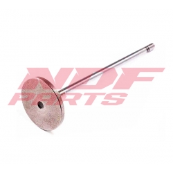 NDF-1047184