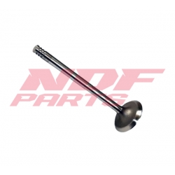 NDF-3074641