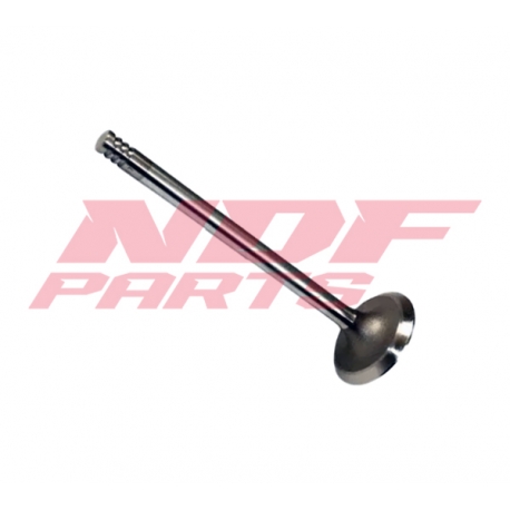 NDF-3074641