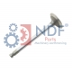 NDF02810YM