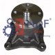 NDF-WP/HYU-003