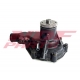 NDF-WP/MIT-021
