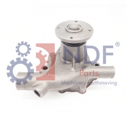 NDF-WP/NIS-004