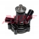 NDF-WP/YAN-017