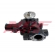 NDF-WP/KOM-007