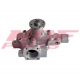 NDF-WP/YAN-008