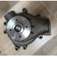 NDF-WP/DOO-013