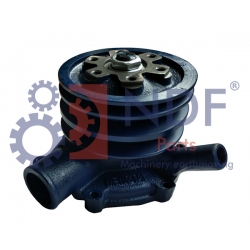 NDF-WP/HYU-004