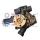 NDF-WP/YAN-026