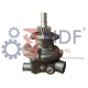NDF-WP/CNH-038