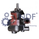 NDF-WP/CNH-037