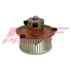NDF-MV113