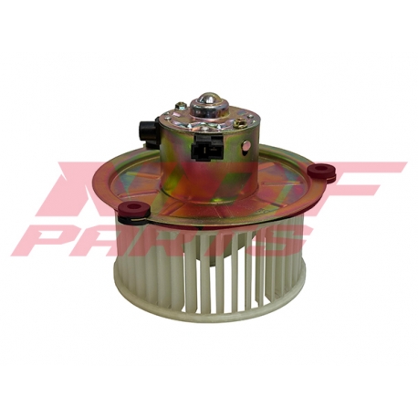 NDF-MV113