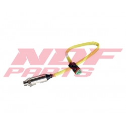 NDF-2213414