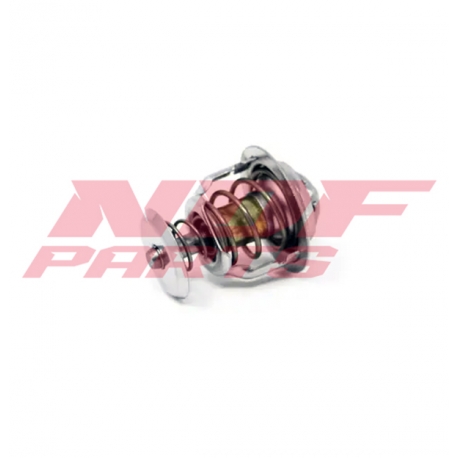 NDF-6685520