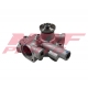NDF-WP/YAN-021