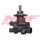 NDF-WP/CUM-011
