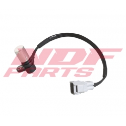 NDF-RS0061